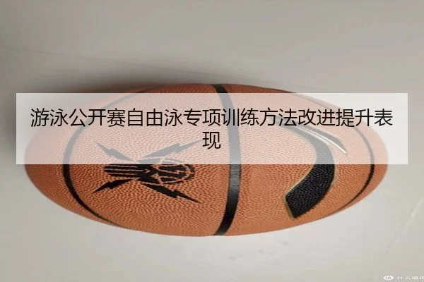 游泳公开赛自由泳专项训练方法改进提升表现 - HTH